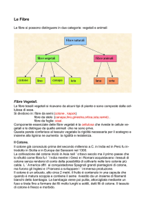 Le Fibre - modabiennio