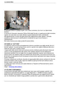 Le colonie feline - Vimercate