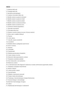 INDICE 1. Anatomia della cute 2. Fisiologia della cute 3. Semeiotica