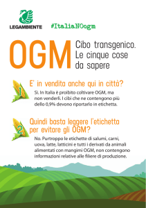 Cibo transgenico. Le cinque cose da sapere
