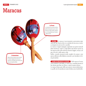 Maracas - music-box