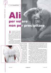 Ali per volare non per precipitare