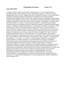 Programma di Scienze Classe 3^E Anno 2012-2013