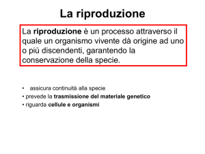 La riproduzione