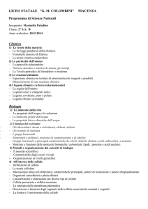 2 SA B - Liceo Colombini