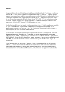 Epatite C L`agente infettivo, il virus HCV (Hepacavirus) fa parte della