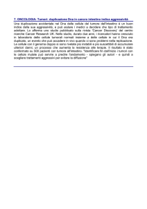 7. ONCOLOGIA: Tumori: duplicazione Dna in cancro intestino indica