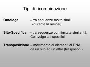 Presentazione di PowerPoint - e
