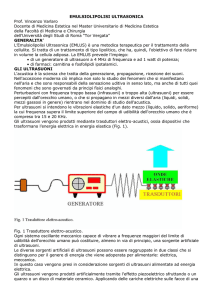 EMULSIOLIPOLISI ULTRASONICA Prof. Vincenzo Varlaro Docente