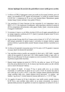 Alcune tipologie di esercizi che potrebbero essere nella