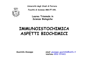 IMMUNOISTOCHIMICA ASPETTI BIOCHIMICI
