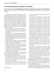 La micropropagazione in Spagna e Portogallo