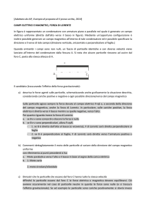 Campi elettrici e magnetici – Forza di Lorentz