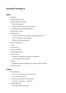 Domande Fisiologia II