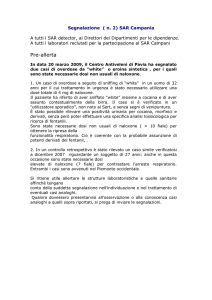 Segnalazione ( n