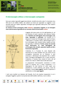 Il microscopio ottico o microscopio composto