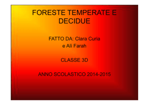 FORESTE TEMPERATE E DECIDUE