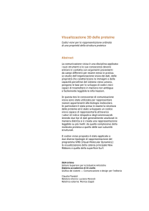 Abstract (scarica in versione pdf)