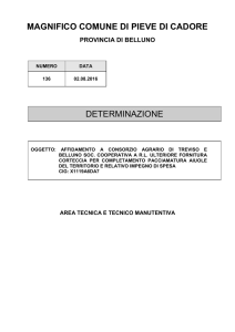 DT136 CONSORZIO AGRARIO PACCIAMATURA