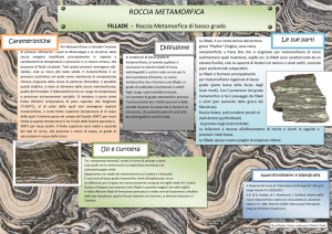 roccia metamorfica - Parco dell`amicizia