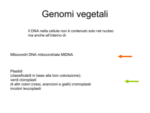 Lezione 13