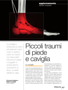Piccoli traumi di piede e caviglia