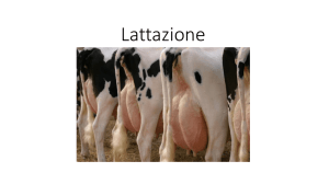 Lattazione - Progetto e