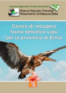 Manuale di primo intervento per il soccorso della fauna