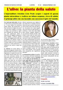 L`ulivo: la pianta della salute