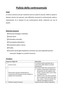 Pulizia della controcannula