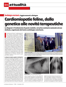 Cardiomiopatie feline, dalla genetica alle novità - Vet