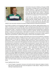 CV - Università degli Studi di Udine