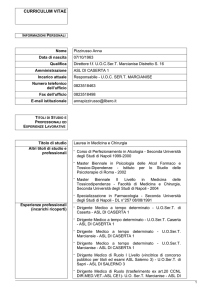 curriculum vitae
