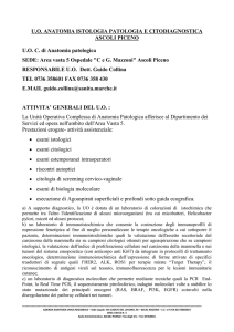 U.O. ANATOMIA ISTOLOGIA PATOLOGIA E CITODIAGNOSTICA