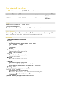 Neuroanatomia (BIO/16