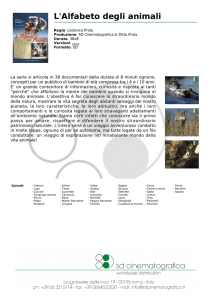 L`Alfabeto degli animali