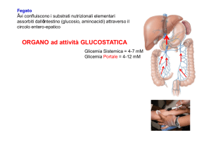5. Il fegato (2) File