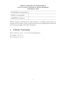 1 Calcolo Vettoriale - Matematica e Applicazioni