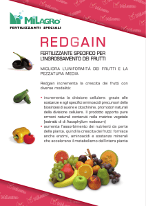 redgain - Albamilagro