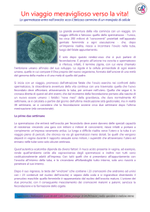 Un viaggio meraviglioso verso la vita!