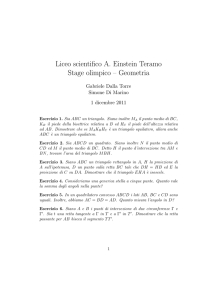 Liceo scientifico A. Einstein Teramo Stage olimpico – Geometria