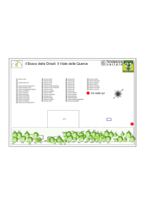 7 Bosco delle driadi - IIS LUIGI CASTIGLIONI