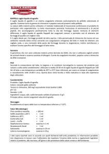 RAPPELLI caglio liquido di agnello Il caglio liquido