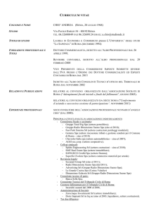 Curriculum vitae andrea (snello)