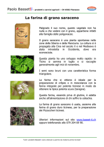 La farina di grano saraceno