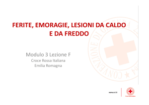 FERITE, EMORAGIE, LESIONI DA CALDO E DA FREDDO