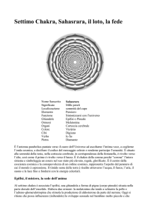 Settimo Chakra, Sahasrara, il loto, la fede