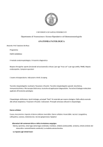ANATOMIA PATOLOGICA