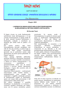 Costituzione epatica