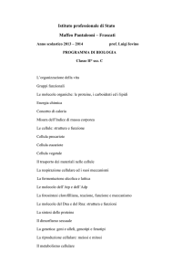 Istituto professionale di Stato Maffeo Pantaleoni – Frascati
